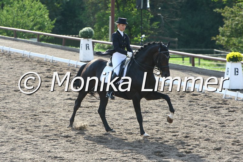 109M7134_Siegerin_Don Vito_Intermediaire I_DressS.JPG